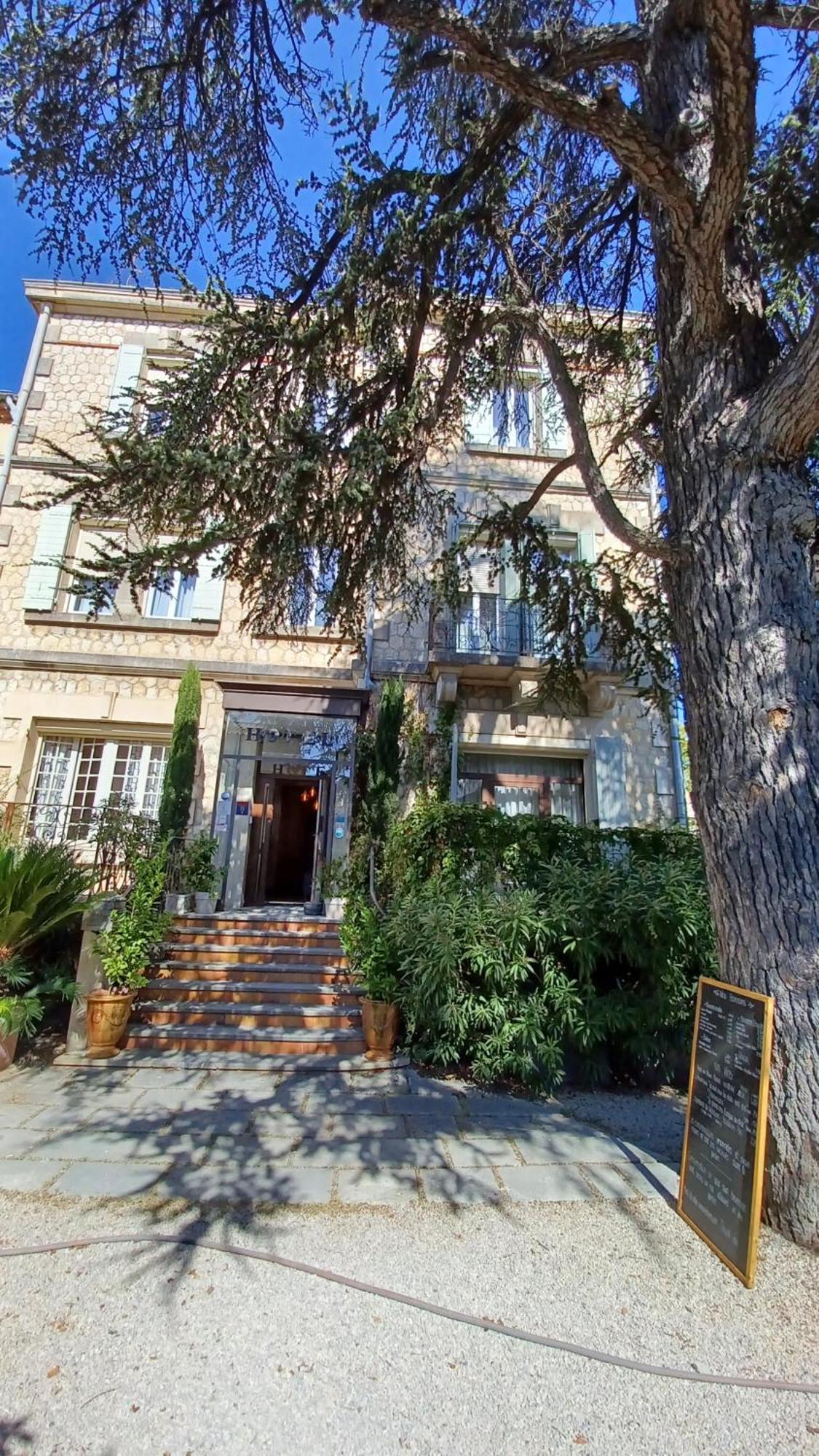 Le Castelet Des Alpilles Hotel Saint-Remy-de-Provence Bagian luar foto